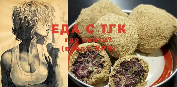 дмт Ельня