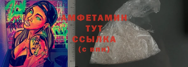 дмт Ельня