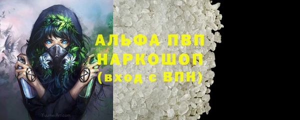 дмт Ельня