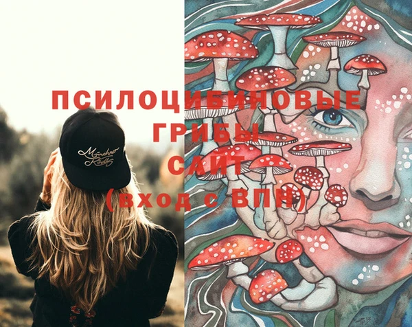 дмт Ельня
