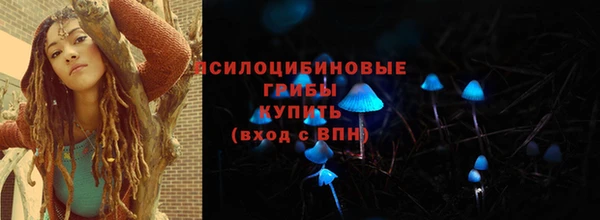дмт Ельня