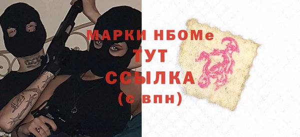 дмт Ельня