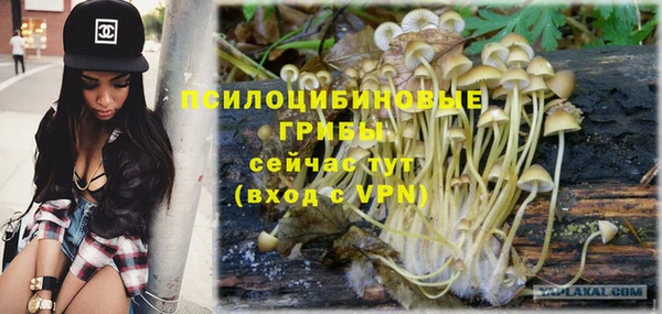 метамфетамин Елизово