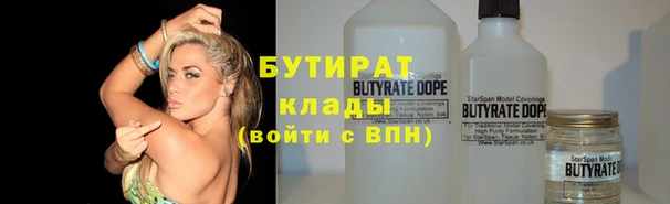 дмт Ельня