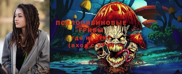 таблы Заводоуковск