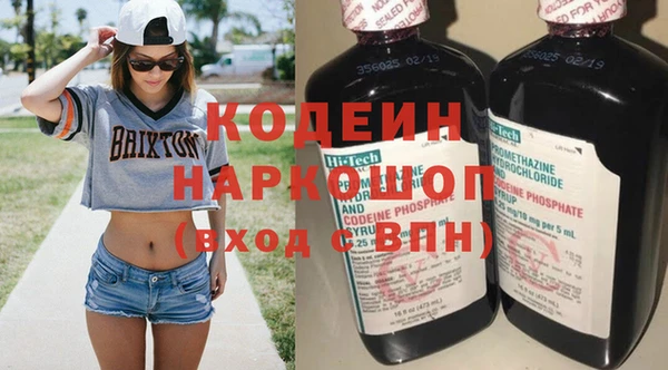 дмт Ельня